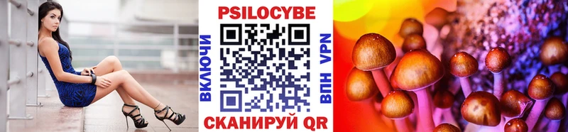 Купить закладки Кирово-Чепецк Псилоцибиновые грибы мицелий