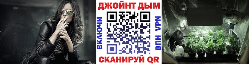 Купить  Кирово-Чепецк  МАРИХУАНА SATIVA & INDICA 